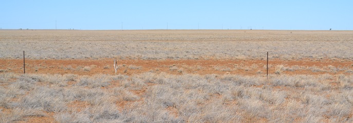 barren landscape