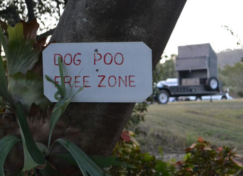smelly but free